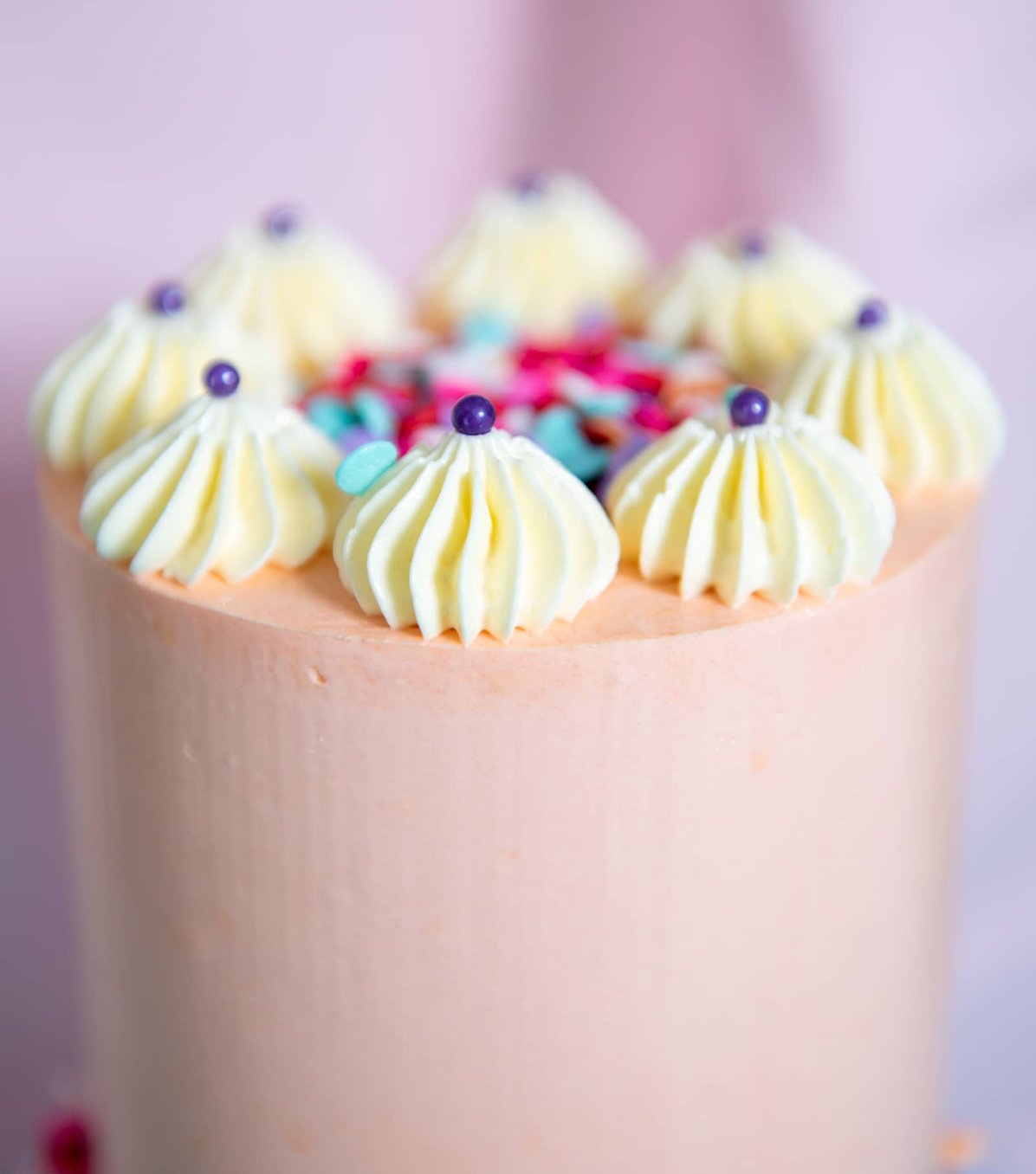 Celebration cake display image beside frequently asked questions